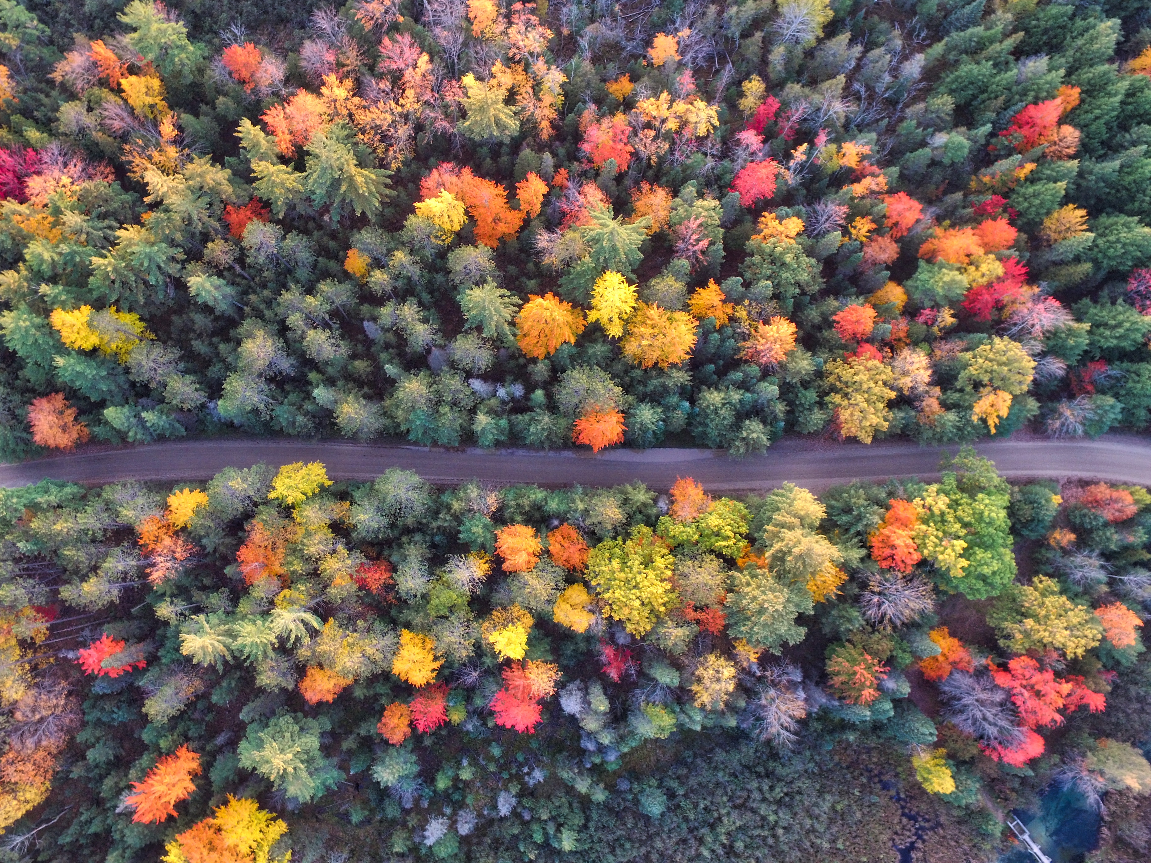 rudens1
