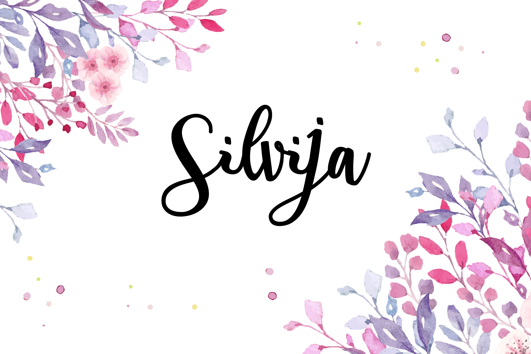 V.d.Slivija