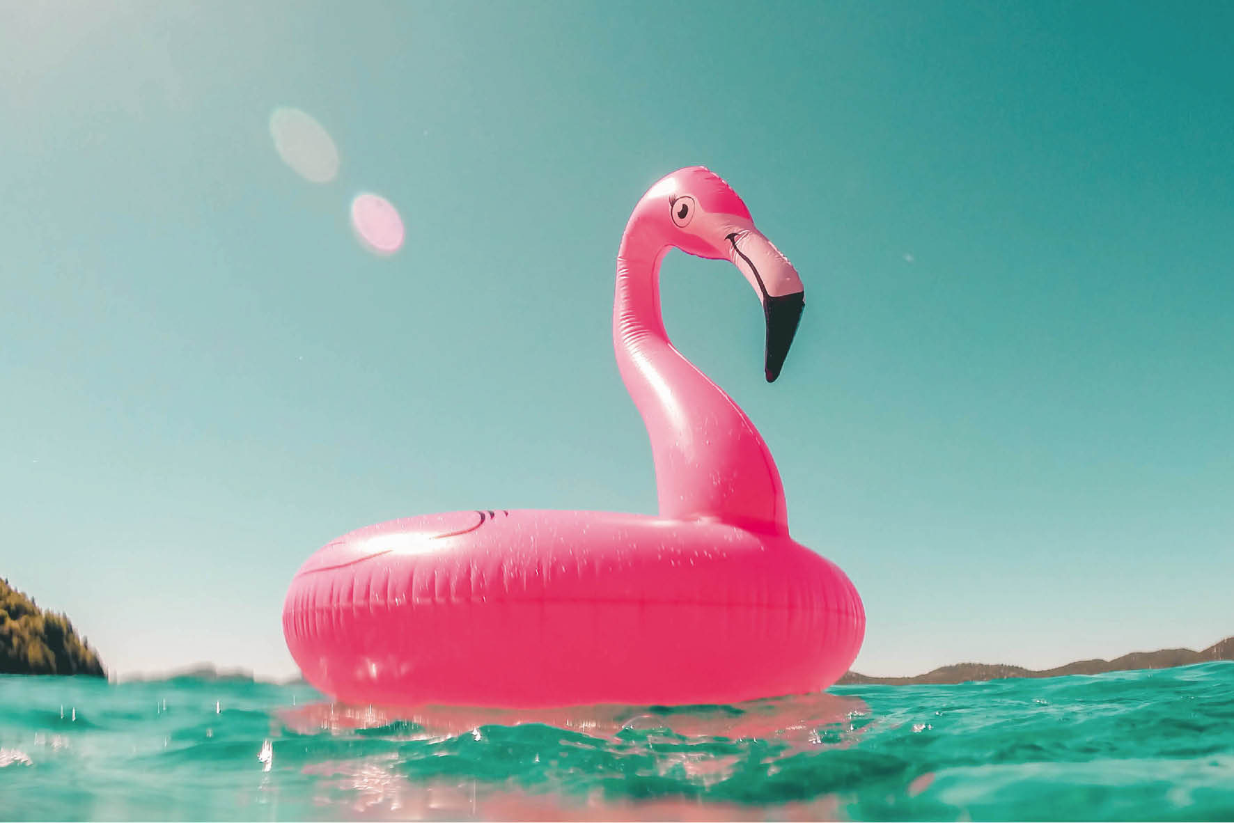 Peldrinķis_flamingo