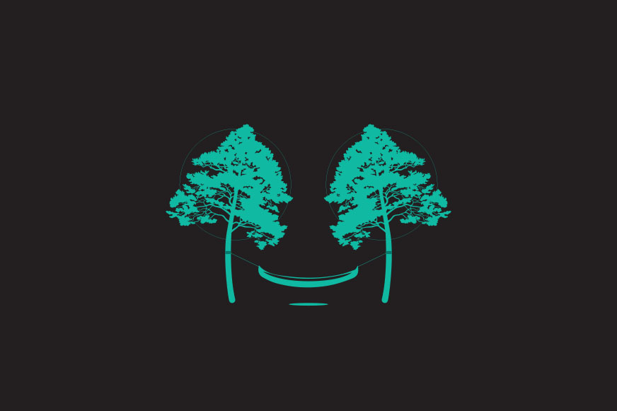 Positivus priedes