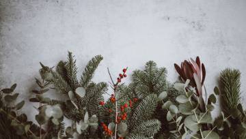 Xmas 1